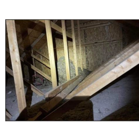 Massive Grass Nest In Attic Internachi®️ Forum