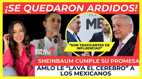 Martes Urgente Se Quedaron Ardidos Sheinbaum Les Cumple Su Promesa