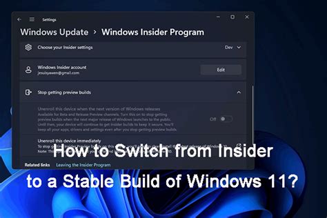 How To Switch From Insider To A Stable Build Of Windows 11 MiniTool