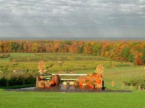 Mapleside Farms Bus Trip: October 27, 2023 5:00 PM | Oberlin College ...