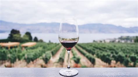 The Ultimate Guide To Napa Wineries In 2023 Wine Travel