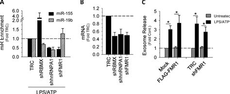 Rna Binding Proteins And Exosome Secretion A The Effect Of Shrna To