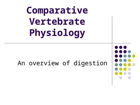 PPT Comparative Vertebrate Physiology An Overview Of Digestion