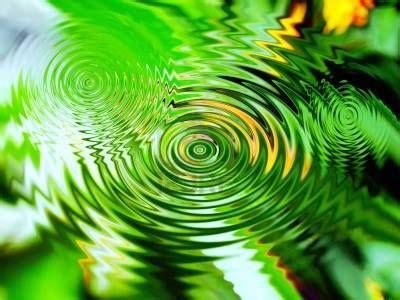 Natural Spirals | Spirals in nature, Fractals in nature, Patterns in nature