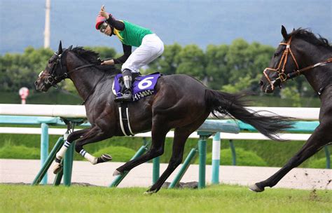 タイトルホルダー 有馬記念で引退 栗田師「引退式は行う方向」― スポニチ Sponichi Annex ギャンブル