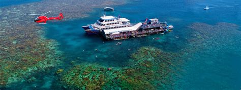 Reef And Island Moore Reef Fitzroy Island Cairns Discovery Tours