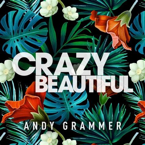 Andy Grammer - Crazy Beautiful - EP Lyrics and Tracklist | Genius