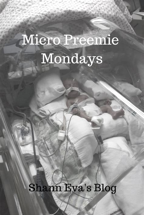 Submit your Micro Preemie Story/NICU Experience - Shann Eva's Blog