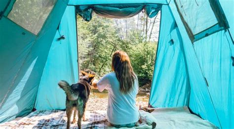 How To Go Tent Camping with Your Dog? - Outdoor Zone