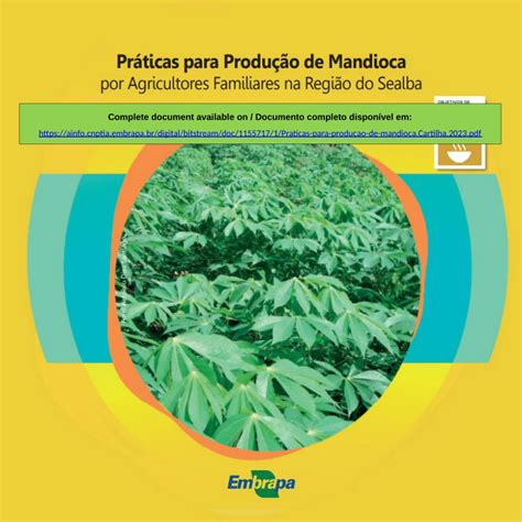 Pdf Pr Ticas Para Produ O De Mandioca Por Agricultores Familiares Na