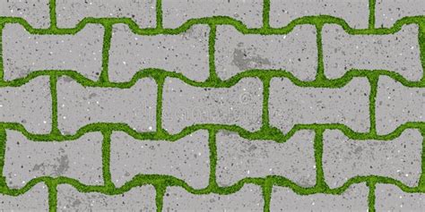 Seamless Pattern Of Old Pavement With Moss And Dumble Interlocking