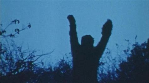 Sasquatch: The Legend of Bigfoot (1976) | MUBI