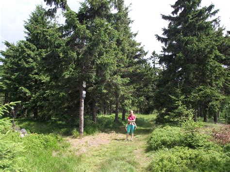 Fotogalerie Mezi Moravou a Českem Horní Orlice pramen Tiché Orlice