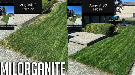 Milorganite Make Your Lawn Deep Green Hard To Find In The Pacific