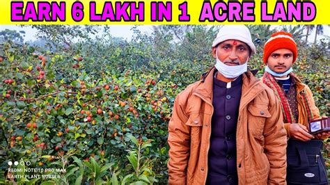 Apple Ber Ki Kheti Apple Ber Farming Apple Ber Nursery In Kolkata Apple