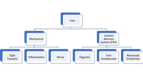 Understanding Pain Handout An Overview