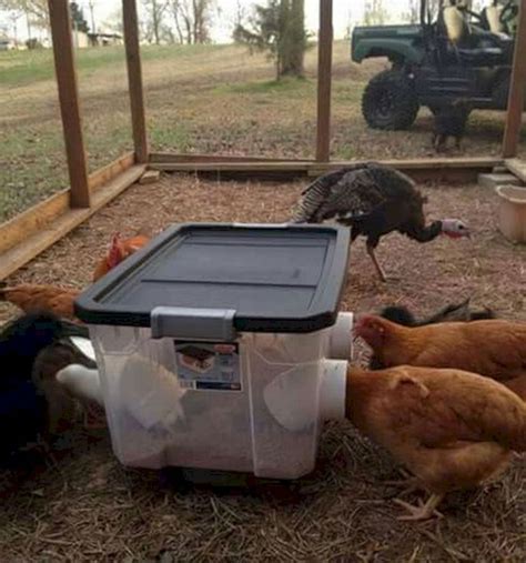 15 Creative And Low Budget Diy Chicken Coop Ideas For Your Backyard