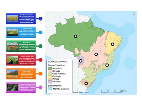 Biomas Do Brasil Labelled Diagram