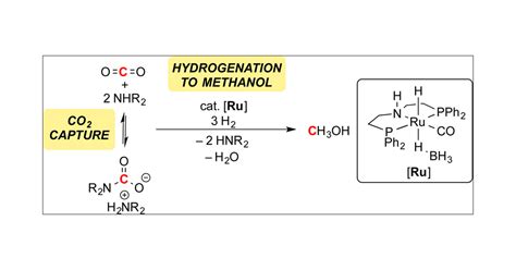 Tandem Amine And Ruthenium Catalyzed Hydrogenation Of Co2 To Methanol Journal Of The American