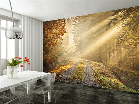 wall mural autumn forest wallsorts