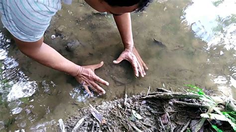 Unique Hand Fishing Amazing Fish Catching By Hand Traditional Hand