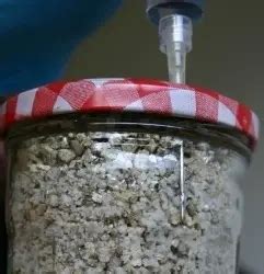 How To Grow Mushrooms From Spores: The Right Way To Do It At Home