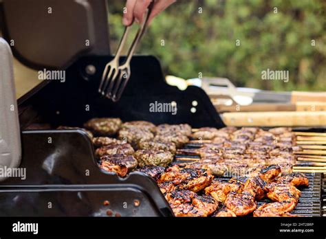 family   barbecue party   garden  summer preparation