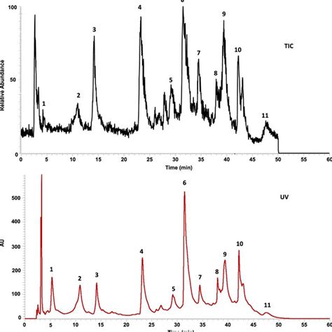 Total Ion Chromatogram TIC And Photodiode Array PDA Signals