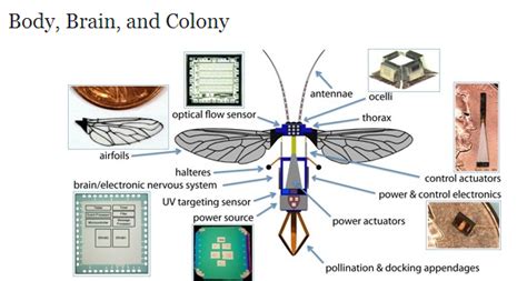 Swarm Intelligence