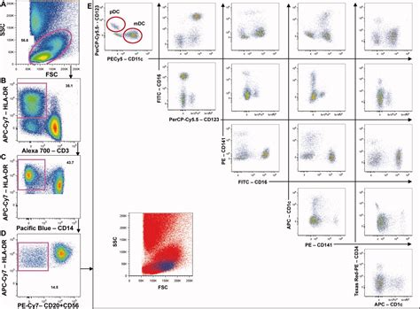 Evaluation Of A 12‐color Flow Cytometry Panel To Study Lymphocyte