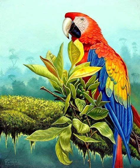 Loros Pintados En Acuarela Buscar Con Google Guacamayas Pinturas