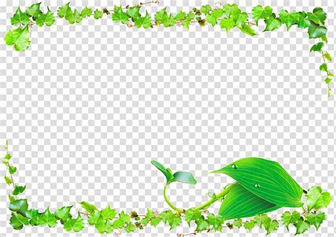 Green Leaves Framed Frame Illustration Leaf Green Vine Vines Border