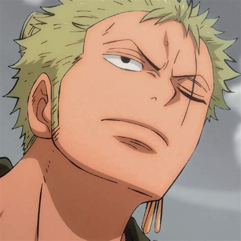 Character Zoro Roronoa Anime One Piece Zoro One Piece Anime One