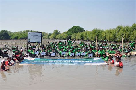 Peduli Lingkungan Bridgestone Gelar Aksi Tanam Ribu Pohon Mangrove