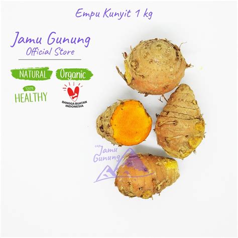 Jual Biang Kunyit Atau Empu Kunir Segar 1kg Bahan Jamu Organik