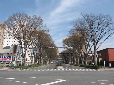 写真64枚jr前橋駅から銀座通り入口・けやきウォークまで