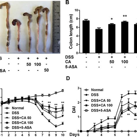 Carnosic Acid Prevented Dss Induced Murine Experimental Colitis Mice