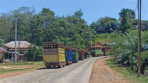 Antrean Truk Masih Terjadi Meski Pabrik Tutup Harga Tbs Sawit Di