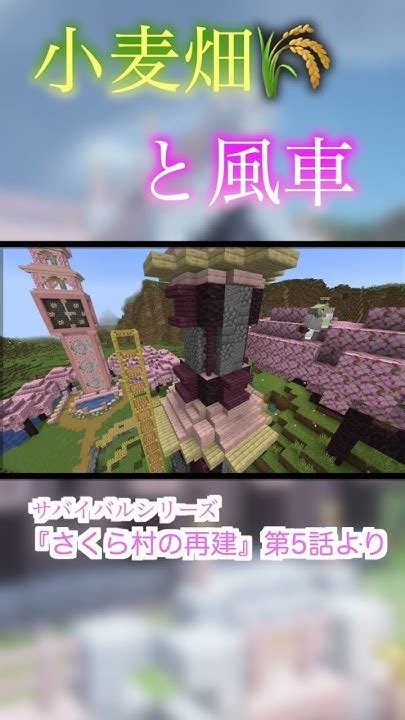 【マイクラ】「小麦畑と風車を作る」🌾サバイバル『さくら村の再建』🌸第5話 Shorts Minecraft マイクラ マイクラサバイバル Youtube