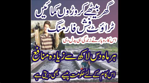 Trout Fish Farming Best Business In Pakistan How To Earn Money