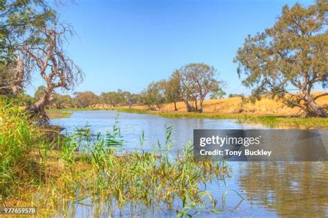 429 Oasis Outback Stock Photos, High-Res Pictures, and Images - Getty ...