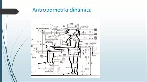 Ergonomia Y Antropometria Ppt