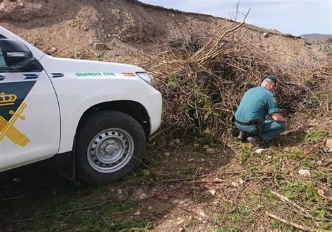 Localizan En Correos Ocho Cabezas De Corzo Que Cazadores Furtivos Se