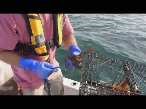 Recreational Lobstering Tour In Maine Youtube