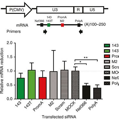 Sirnas Targeting The U Region Of The Hiv Ltr Promoter Have Limited