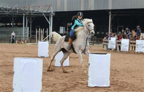 RS Coronavírus 2ª etapa do Campeonato Domados do Pampa movimenta o