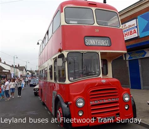 Leyland Buses