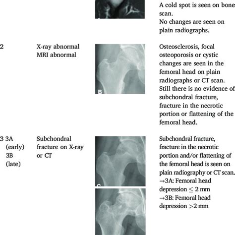 Association Research Circulation Osseous Arco International Download Scientific Diagram