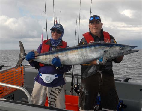 How To Catch Wahoo Fishing World Australia