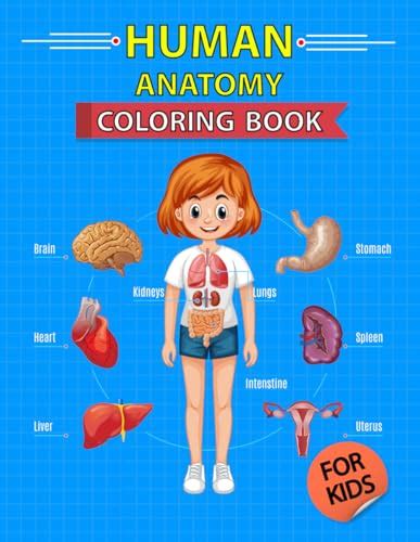 Human Anatomy Coloring Book For Kids Human Body Parts For Childrens